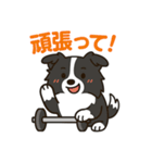 ほんわかボーダーコリー（個別スタンプ：34）