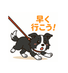 ほんわかボーダーコリー（個別スタンプ：35）