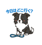 ほんわかボーダーコリー（個別スタンプ：40）