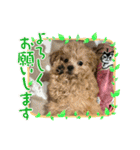 杏子ちゃんいろいろへんしんしてみました！（個別スタンプ：4）