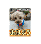 杏子ちゃんいろいろへんしんしてみました！（個別スタンプ：31）