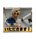杏子ちゃんいろいろへんしんしてみました！（個別スタンプ：35）