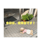 杏子ちゃんいろいろへんしんしてみました！（個別スタンプ：36）