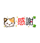 日常で使えるスタンプ☆by幸せ三毛猫（個別スタンプ：11）