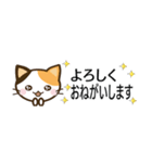 日常で使えるスタンプ☆by幸せ三毛猫（個別スタンプ：13）