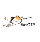 日常で使えるスタンプ☆by幸せ三毛猫（個別スタンプ：19）