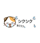 日常で使えるスタンプ☆by幸せ三毛猫（個別スタンプ：27）