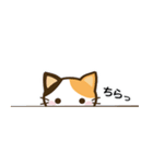 日常で使えるスタンプ☆by幸せ三毛猫（個別スタンプ：40）