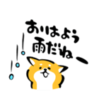 ふでしば34【雨、夏】柴犬（個別スタンプ：2）