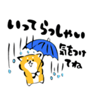 ふでしば34【雨、夏】柴犬（個別スタンプ：9）