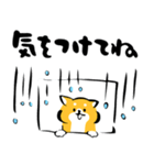 ふでしば34【雨、夏】柴犬（個別スタンプ：12）