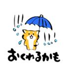ふでしば34【雨、夏】柴犬（個別スタンプ：14）