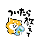 ふでしば34【雨、夏】柴犬（個別スタンプ：16）