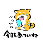 ふでしば34【雨、夏】柴犬（個別スタンプ：21）