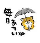 ふでしば34【雨、夏】柴犬（個別スタンプ：23）