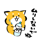 ふでしば34【雨、夏】柴犬（個別スタンプ：31）