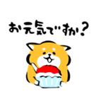 ふでしば34【雨、夏】柴犬（個別スタンプ：34）