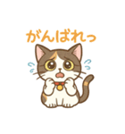 【こと・びわ】1 year anniversary（個別スタンプ：3）