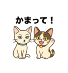 【こと・びわ】1 year anniversary（個別スタンプ：15）