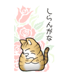 薔薇とエリザベス その1（個別スタンプ：7）