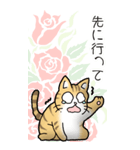 薔薇とエリザベス その1（個別スタンプ：20）