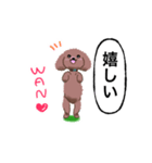 WAOの犬猫ファミリー（個別スタンプ：3）