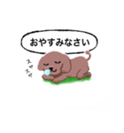 WAOの犬猫ファミリー（個別スタンプ：7）