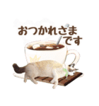 NEW 毎日使える☆ルルちゃんスタンプ（個別スタンプ：5）