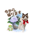 NEW 毎日使える☆ルルちゃんスタンプ（個別スタンプ：8）