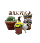 NEW 毎日使える☆ルルちゃんスタンプ（個別スタンプ：11）