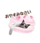 NEW 毎日使える☆ルルちゃんスタンプ（個別スタンプ：18）
