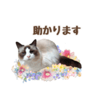 NEW 毎日使える☆ルルちゃんスタンプ（個別スタンプ：29）