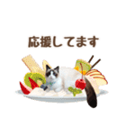 NEW 毎日使える☆ルルちゃんスタンプ（個別スタンプ：31）