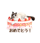 NEW 毎日使える☆ルルちゃんスタンプ（個別スタンプ：35）