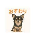 チワワと挨拶（個別スタンプ：11）