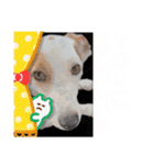 えどわーどtheジャックラッセルテリア #1（個別スタンプ：15）