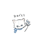 ねこっ 日常スタンプ（個別スタンプ：13）