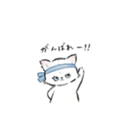 ねこっ 日常スタンプ（個別スタンプ：16）