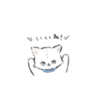 ねこっ 日常スタンプ（個別スタンプ：17）