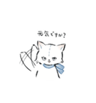 ねこっ 日常スタンプ（個別スタンプ：20）