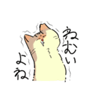 あめちゃんワールド2（個別スタンプ：16）