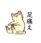 あめちゃんワールド2（個別スタンプ：19）