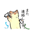 あめちゃんワールド2（個別スタンプ：20）