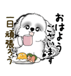 New B＆W シーズー犬  「いつも使う言葉」（個別スタンプ：1）