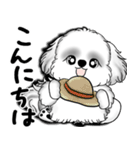 New B＆W シーズー犬  「いつも使う言葉」（個別スタンプ：2）