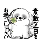 New B＆W シーズー犬  「いつも使う言葉」（個別スタンプ：4）