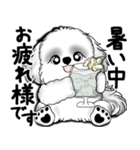 New B＆W シーズー犬  「いつも使う言葉」（個別スタンプ：5）