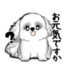 New B＆W シーズー犬  「いつも使う言葉」（個別スタンプ：7）