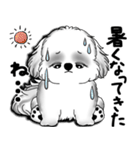New B＆W シーズー犬  「いつも使う言葉」（個別スタンプ：10）