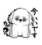New B＆W シーズー犬  「いつも使う言葉」（個別スタンプ：11）